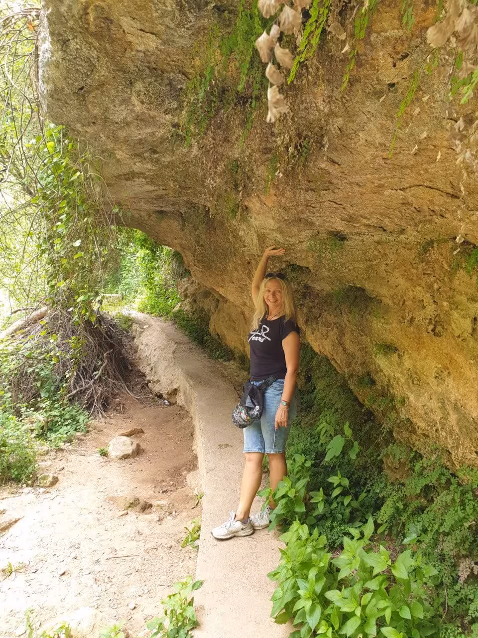 Enter Lady's Portfolio