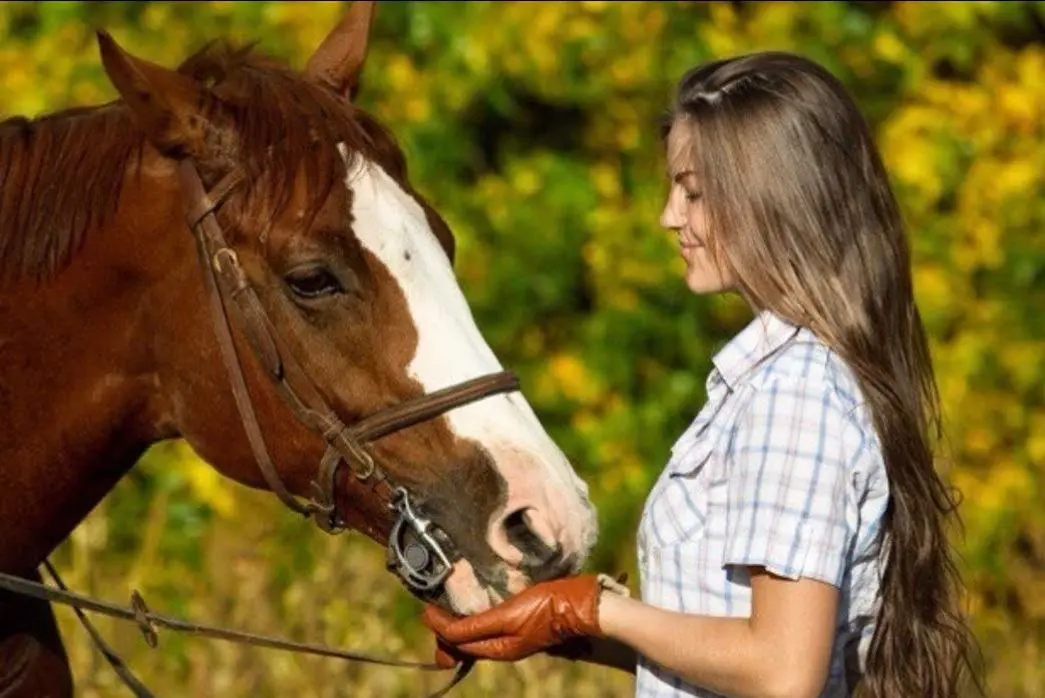Proceed to Matrimonial Details